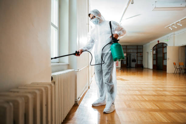 Best Affordable Pest Control Services  in Alum Creek, WV